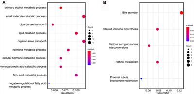 Construction and Validation of a Novel Ferroptosis-Related lncRNA Signature to Predict Prognosis in Colorectal Cancer Patients